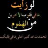 user8198055104711