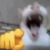 llol313