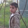 hsenzayat3