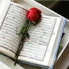 user8780490168530