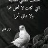 user3690357471455