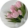 user3155815314038