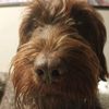 mr.doggy05