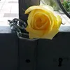 paolo.foresti5