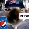 pepsi_gato0