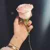 zozoshooping23