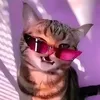 fredziuniaaa