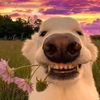 channel_xd0