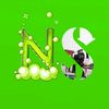 nur.hason721