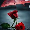user2081486134684