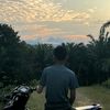 mxking325