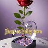 user6019160069327