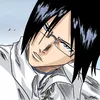 robin_art296