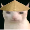 niejekedricsanche
