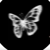 lolabeaup37