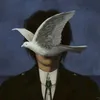 kdvjohnnn