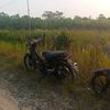 kph_nyell0