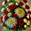 wajid.khan6223