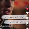 ziddi.larki3463