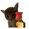gatinho1331