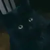 mmhmhmmhhhmm