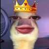 tikus_botakxz