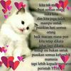 zayahmohd3