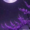 user1164871078