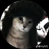 mint_flavor09