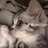 alexaromana_4