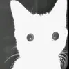 noluha8