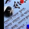 nazmulnazmul9979