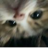 _chin27.0