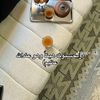 houda.habib64