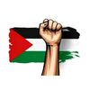 omar.tamer9