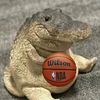 nba_greg0