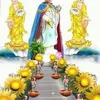 lien.nguyen7348