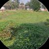 badol.khan077
