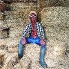 farmerspiderman