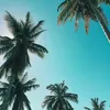 pauli_221112