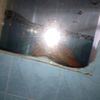 alexander.rodrgue636