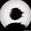 winsela231222