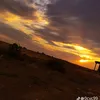 bashhar_39