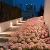 meshaeel33