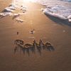 romaalshaik951