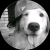 limn_xzv