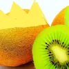 leadingkiwi