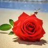 gloria.l.nagac