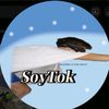 soytok_