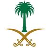 saraa.aa2030